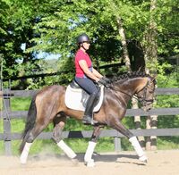 Profile picture Vanessa Brandt